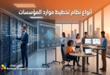 أنواع نظام تخطيط موارد المؤسسات التقنية لدعم الابتكار المالي