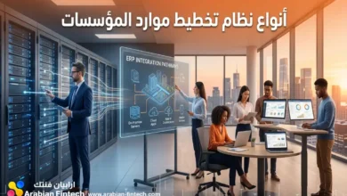 أنواع نظام تخطيط موارد المؤسسات التقنية لدعم الابتكار المالي